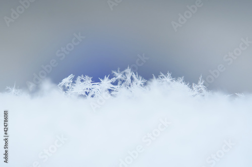 Winter snow background. Macro photo of real snow crystals. Large white snowflakes Shallow depth of field.