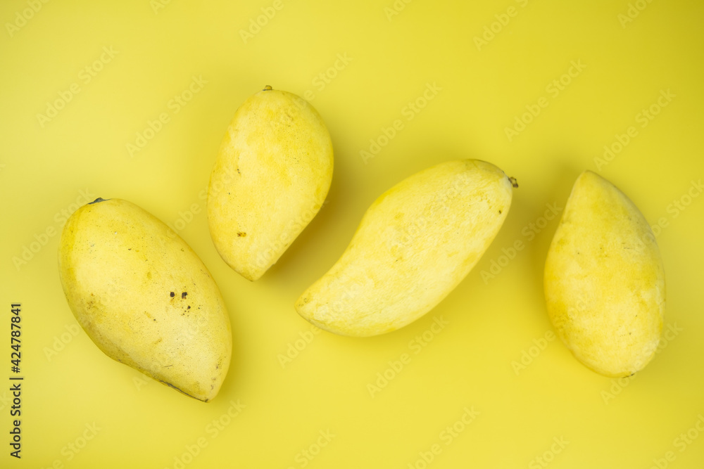A set of golden mango fruit. It is a very tasty and delicious Thai fruit.