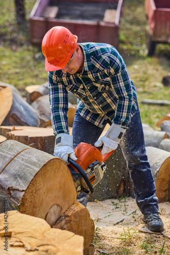 man cutting beech wood with a chainsaw
