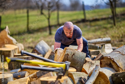 Strong man moving big cut beech logs