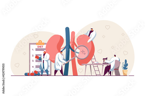 Tiny doctors examining kidneys. Nephrology, physiology study, pharmacy research flat vector illustration. Medicine, diagnosis, healthcare concept for banner, website design or landing web page