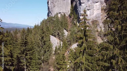 Drohnenflug durch Bäume 