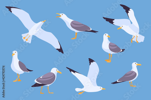 Set of cartoon beach seagulls flying in sky vector illustration. Collection of isolated flat gulls sitting and soaring on blue background. Atlantic birds, nature concept for apps, advertising