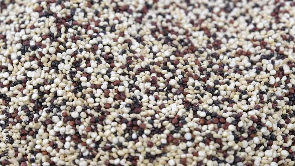 Slow-motion of quinoa seeds Slow-motion of quinoa seeds