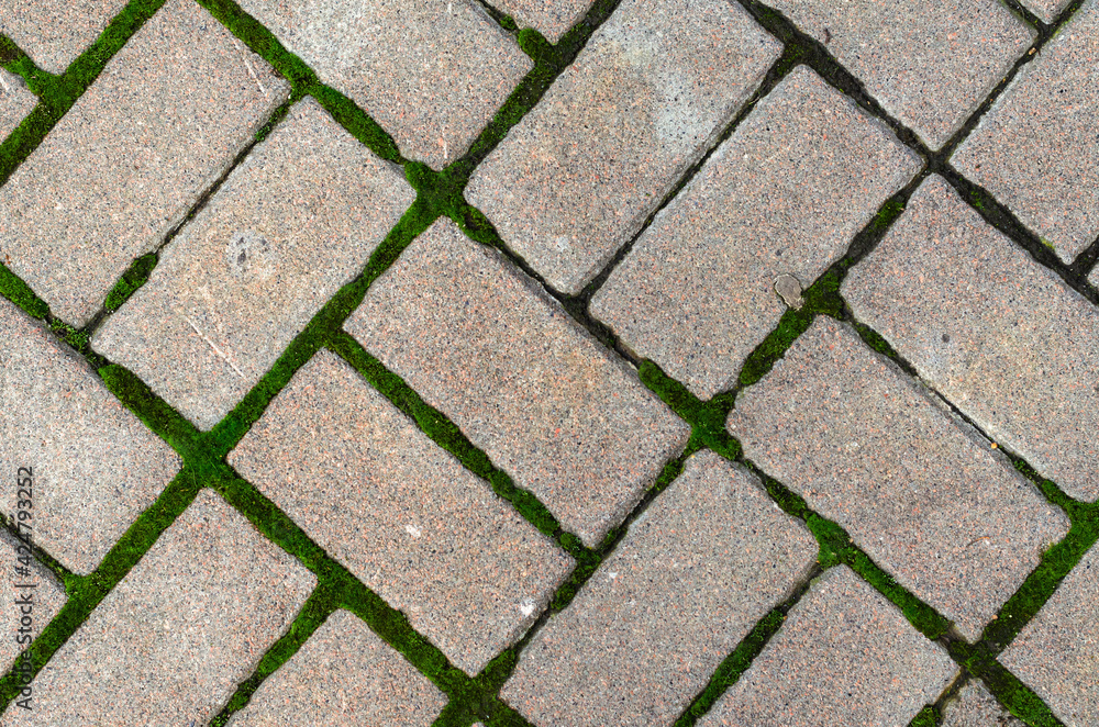 Granite paving stone with moss Granite paving stone with moss