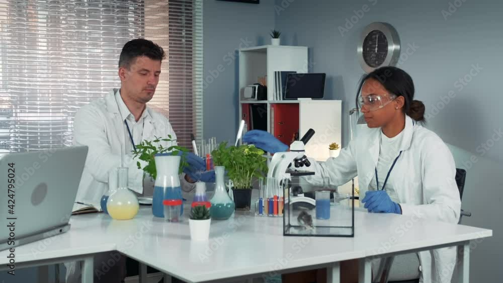 Black female research scientist giving his colleague test-tubes with fertilizer and then making experiments Black female research scientist giving his colleague test-tubes with fertilizer and then making experiments