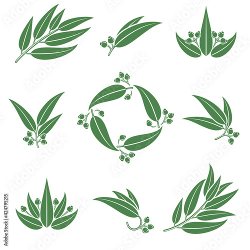 Eucalyptus set. Collection icon eucalyptus. Vector