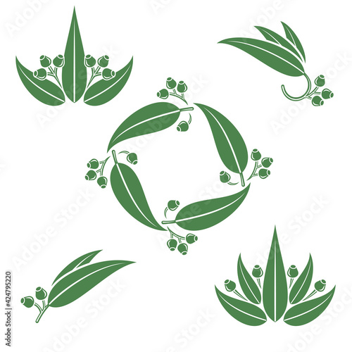 Eucalyptus set. Collection icon eucalyptus. Vector