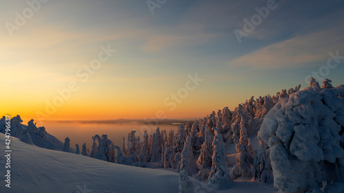 Rukatunturi, a fell and skiresort in Finnish Lapland, at midwinter sunset photo