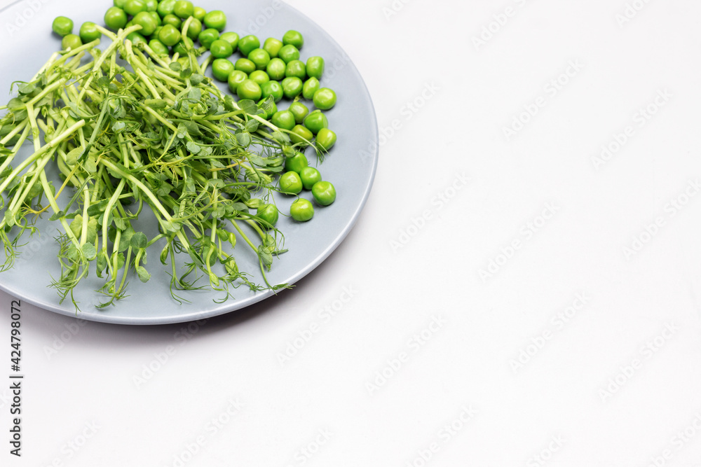 Green pea sprouts and green peas on gray plate Green pea sprouts and green peas on gray plate