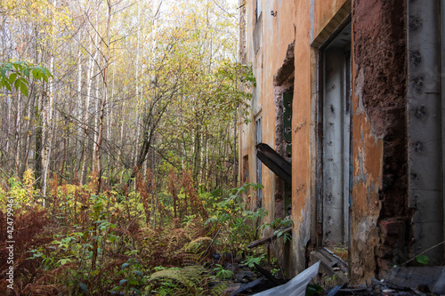 abandoned building overgrown with plants