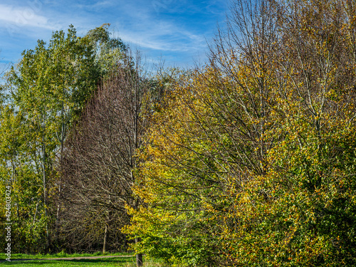 Fototapeta Naklejka Na Ścianę i Meble -  paysage d'automne à la Base de Loisirs de Verneuil-sur-Seine dans les Yvelines en France