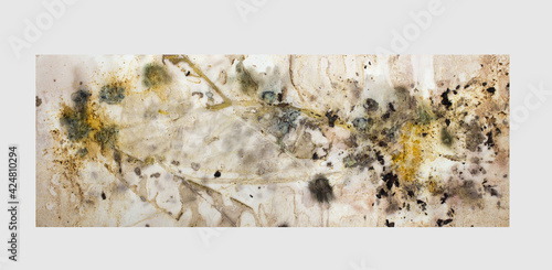 Canvas Print Leaves patterns on paper and fabric with eco-friendly printing process