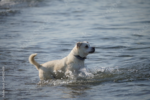 An der Ostsee: Kühlungsborn