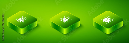 Set Isometric Beetle bug, Mite and icon. Vector