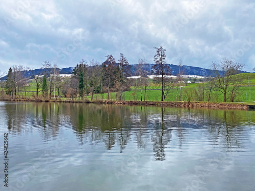 Late winter and early spring on the Sternenweiher pond or Sternensee lake above the forest gorge of the Mülibach stream, Samstagern - Canton of Zürich (Zuerich or Zurich), Switzerland (Schweiz) photo