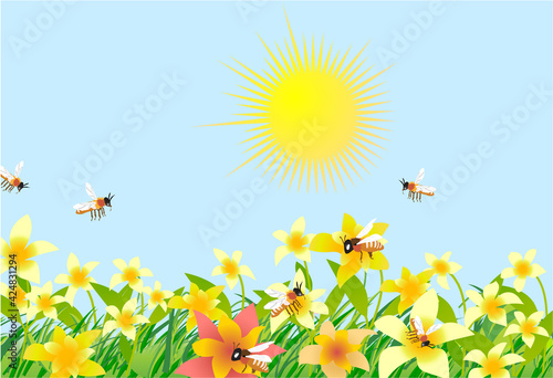 Beautiful lily flowers field in the spring season with hardworking bees gathering honey. Vector illustration.