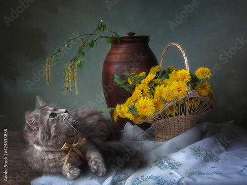 Leinwand Poster Spring still life with dandelions and cute kitty