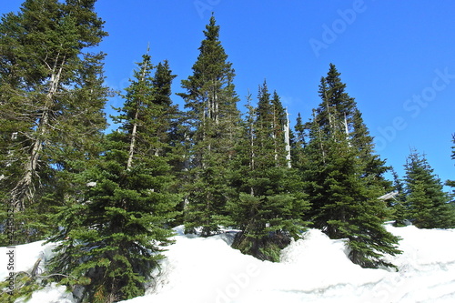 The beautiful scenery of the Olympic Mountains in the Pacific Northwest, Olympic National Park, Washington State.