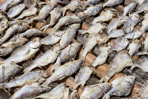 Peces en un secadero de pescado en la playa de Sanyang en la costa de Gambia photo