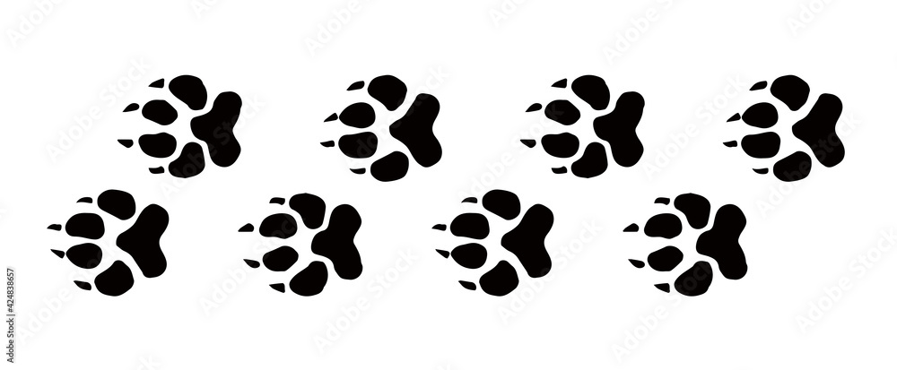 Traces of a bear. Vector drawing Traces of a bear. Vector drawing