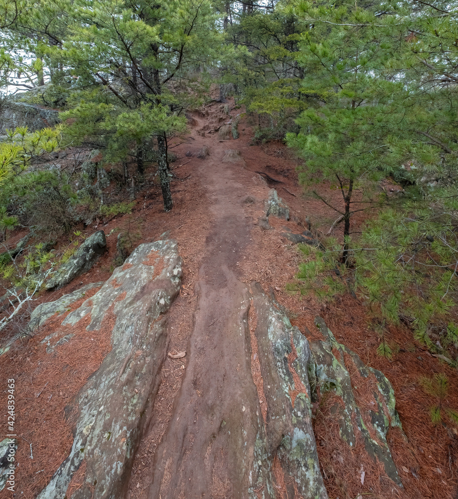 The Pinnacle Trail, Crowder's Mountain, North Carolina The Pinnacle Trail, Crowder's Mountain, North Carolina