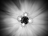 Geometric chandelier with four light bulbs produces an interesting shade with copy space. Black and white photo with illumination. Home decor concept.