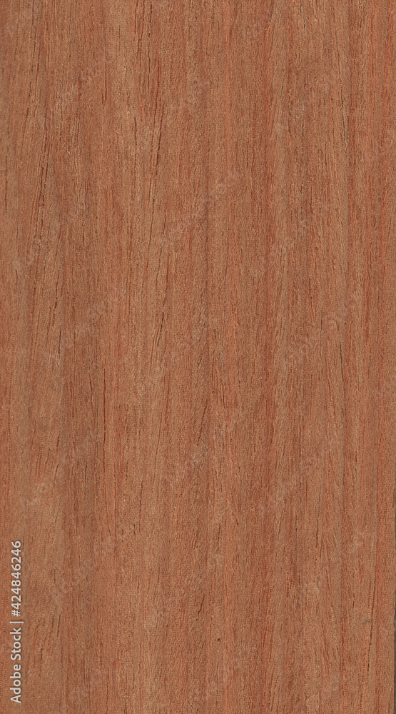 wood texture backgroun wood texture backgroun