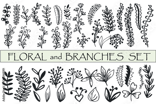 Wreath, Leaf, Branch, willow Botanical set. Hand drawn Linear set in monochrome color. Vector illustration. 