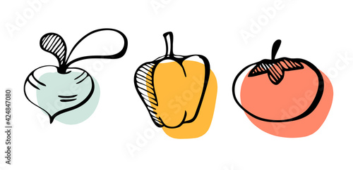Vegetables doodle set. Turnip, pepper, tomato