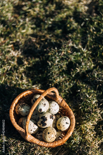 quail eggs in the basket grass background