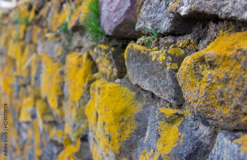 Old stone wall with moss