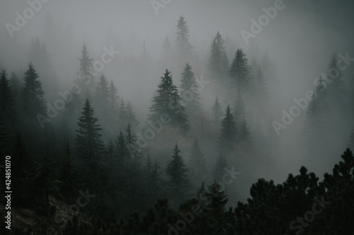 Misty autumn mysterious mood in mountains, wallpaper, edit space © kovop58