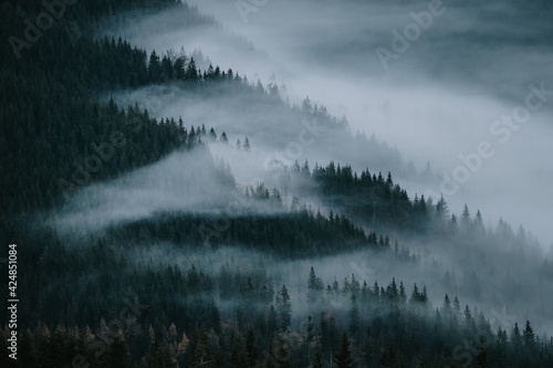 Mist in autumn nature, fog beyond the hills, nature in carpathian mountains © kovop58