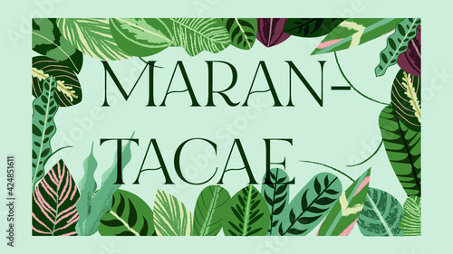 Póster impreso de primavera para rebajas y anuncios con hojas y follaje de calatheas