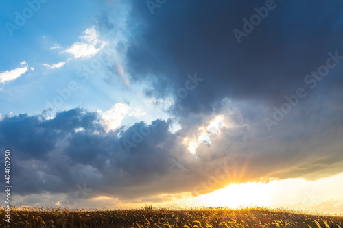 dramatic sky with cloud and sunbeams over a field at sunset
