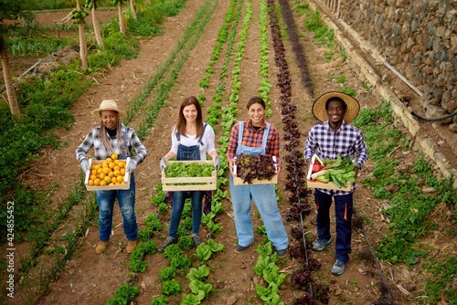 Schilderij op canvas Multiracial gardening people holding wooden box of harvested organic fruits and