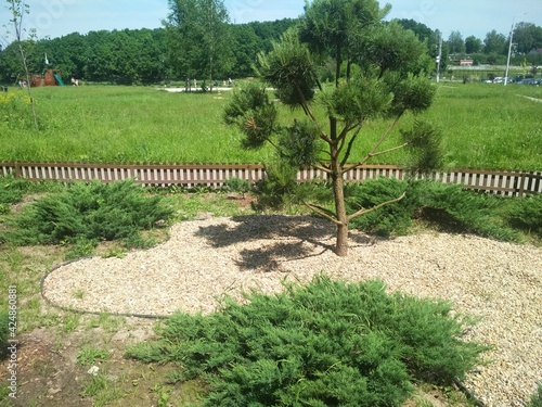 garden in the park