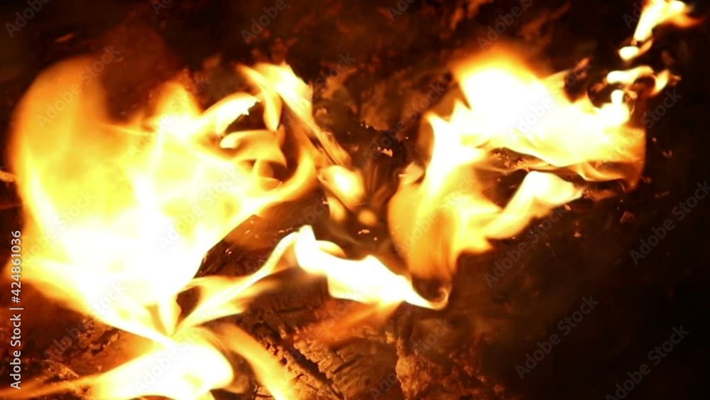 Bonfire at night, close up, nature background Bonfire at night, close up, nature background
