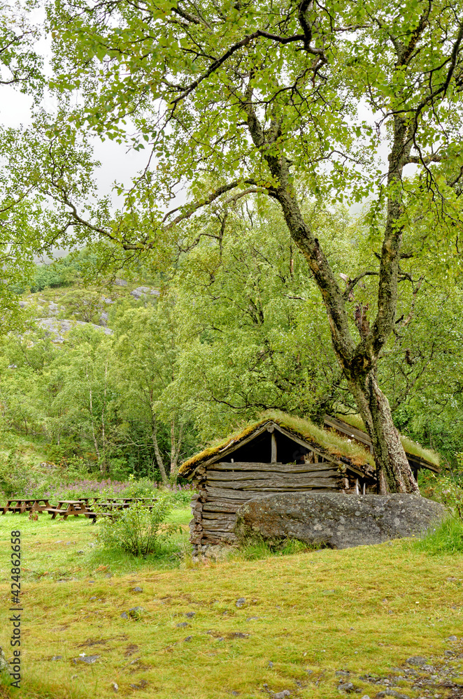 Scandinavian traditional house with green roof