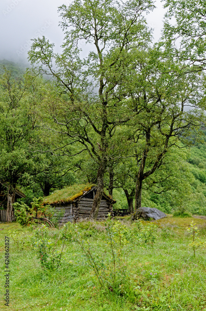 Scandinavian traditional house with green roof Scandinavian traditional house with green roof