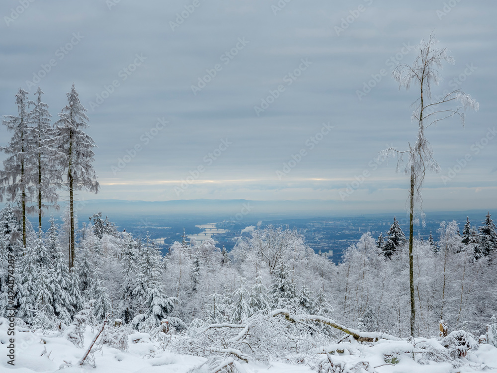 Obraz premium The four bridges over the Rhine between Mainz and Wiesbaden, a beautiful winter morning shot