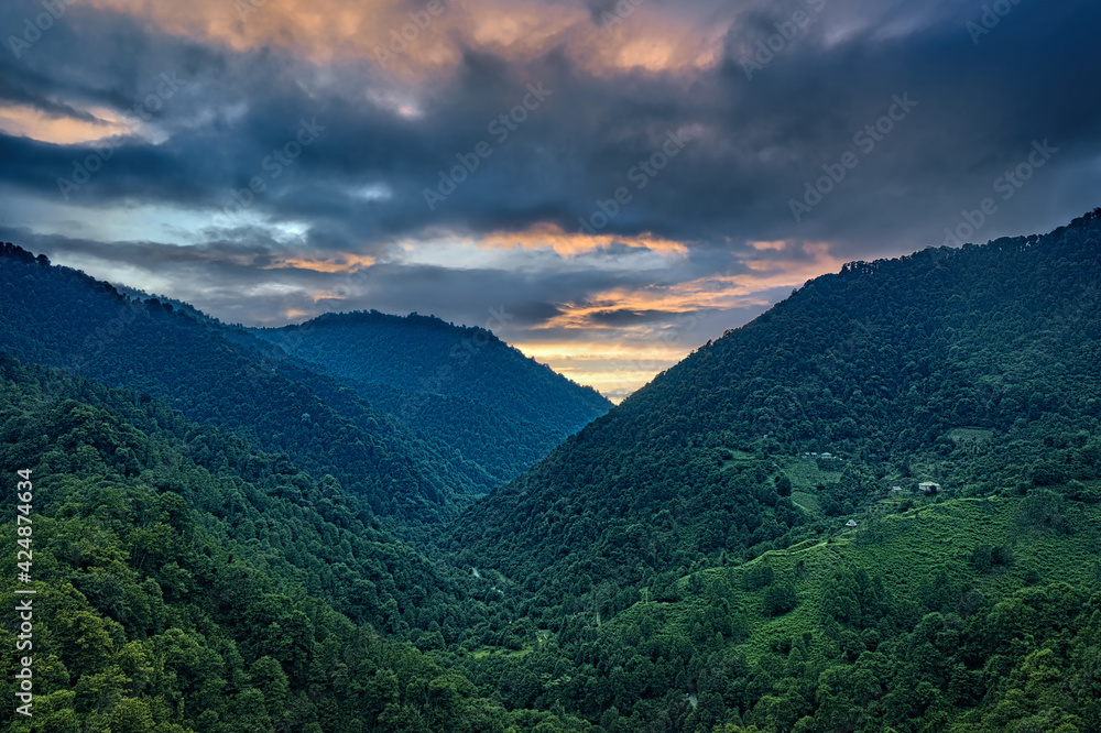 Mtirala National Park, Adjara, Georgia