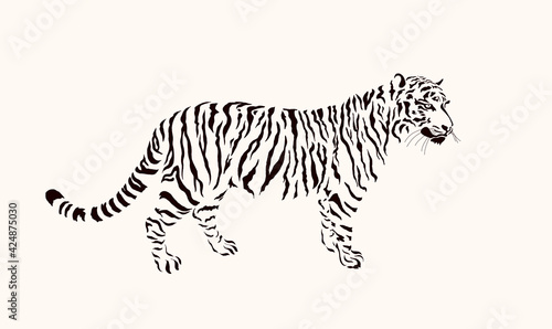 Fototapeta Naklejka Na Ścianę i Meble -  Striped tiger. Portrait of predatory wildcat. Stylized symbol of Chinese 2022 New Year. Wildlife and fauna dwellers. Vector illustration. Isolated on white background.