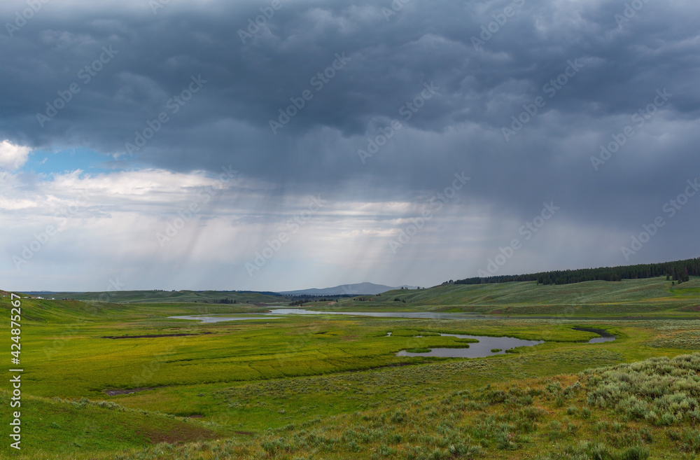 Rain in Hayden Valley, famous spot for bison and wolf spotting, Yellowstone national park, Wyoming, United States of America (USA).