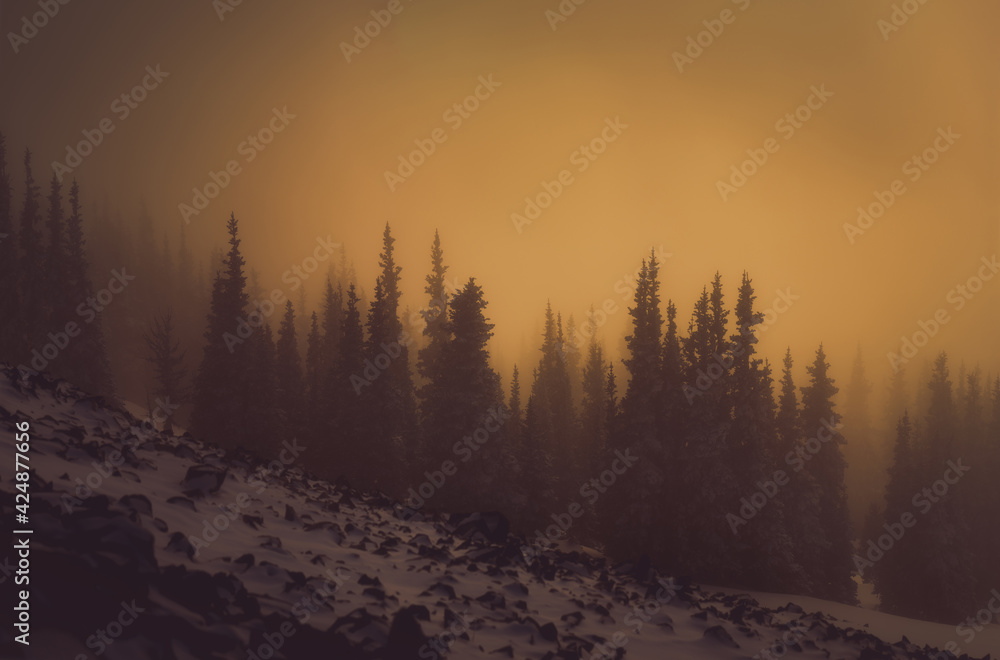Dramatic orange sunset in mountains in the foggy Pacific Northwest in winter
