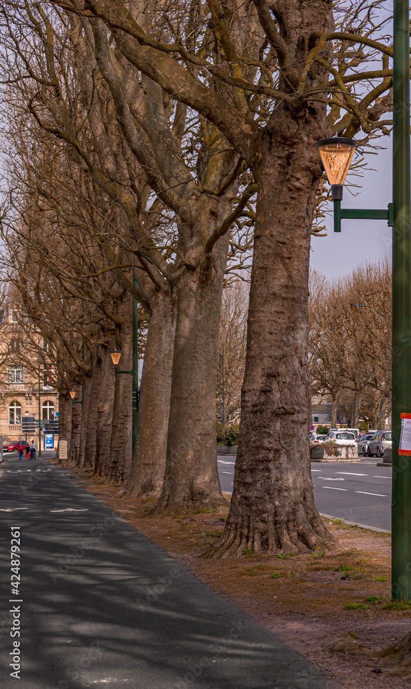 Fototapeta premium Chemin Vert - Caen