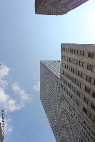 skyscrapers in the city