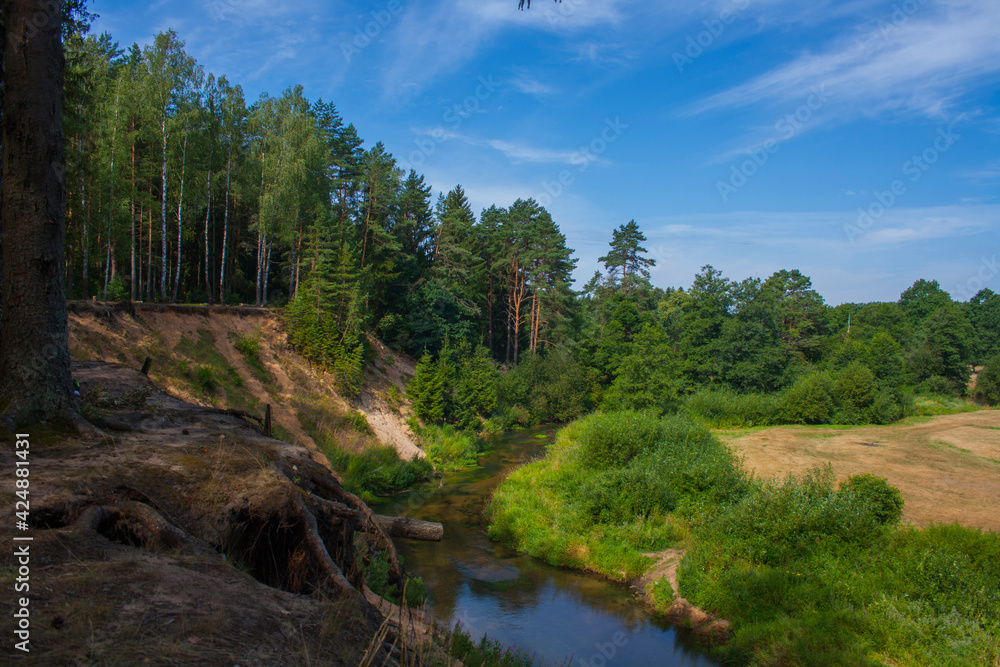 A forest stream that flows through the ravine A forest stream that flows through the ravine