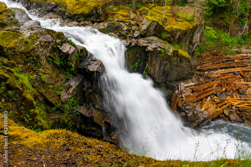 Sol Duc Falls in the Olympic Peninsula